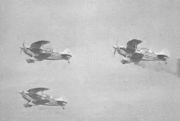 The world-famous Eagles Aerobatic Flight Team wowed the crowds.
